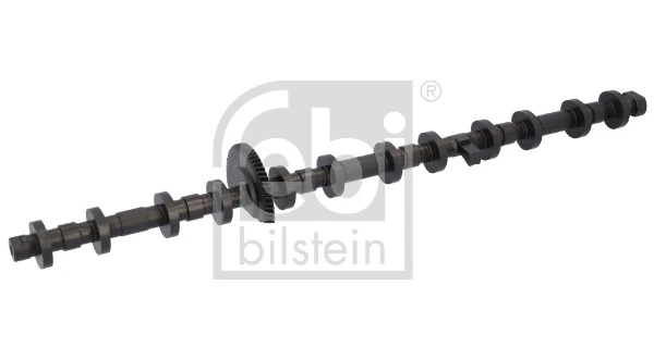 Eccentric shaft, camshaft adjustment
